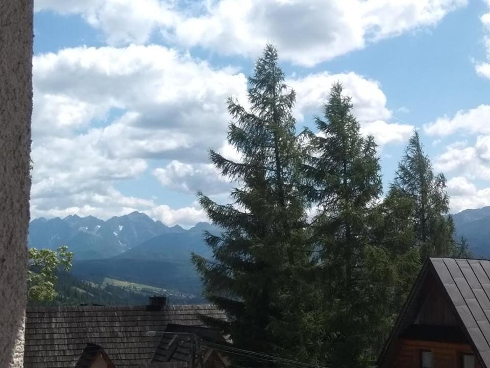 Villa U Skupniow Gliczarow Gorny à Biały Dunajec Extérieur photo